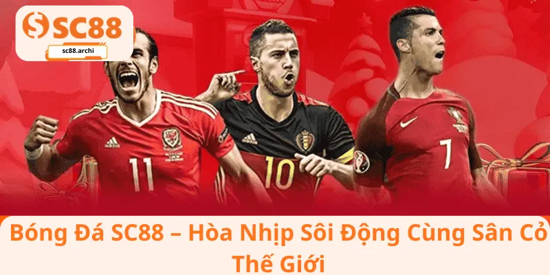 Bóng Đá SC88 – Hòa Nhịp Sôi Động Cùng Sân Cỏ Thế Giới