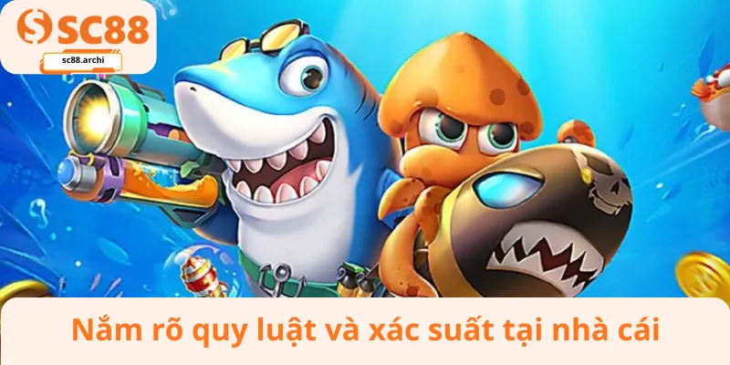 Nắm rõ quy luật và xác suất tại nhà cái